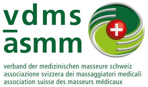 Logo_vdms